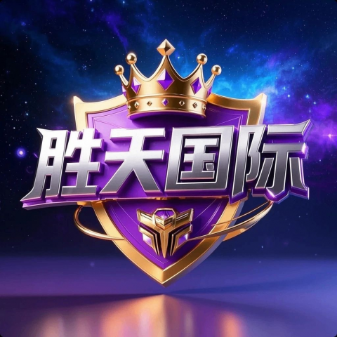 胜天国际100+100